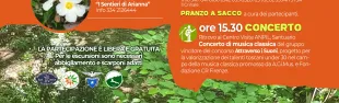 Festa del cisto laurino in fiore, venerdì 7 giugno e domenica 16 giugno 2024