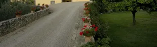 Colognole, Villa il Palagio