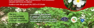 Alla scoperta del Cisto Laurino. Domenica 8 giugno 2025