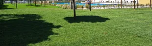 Piscina Comunale di Pontassieve