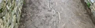 Fossi del Manderino e del Mezzana