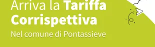 Taric Pontassieve