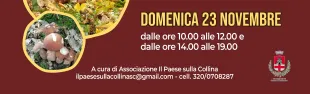 Mostra micologica. Doccia, Pontassieve 22 e 23 novembre 2025