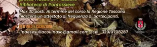 Corso gratuito “Conoscere i funghi”. Pontassieve 12, 15 e 19 gennaio 2026