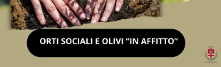 Pontassieve, orti sociali e olivi in affitto