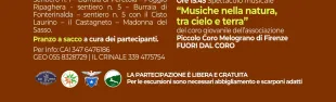 Festa del Cisto Laurino in fiore. Domenica 7 giugno 2026