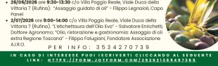 L'olio Evo Toscano