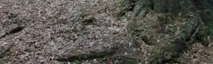 Monte Giovi