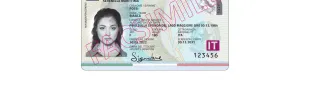 Carta d'Identità Elettronica (CIE)