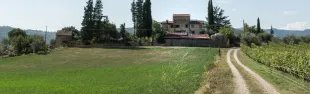 Azienda agricola Podere il Balzo