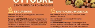 Festa d'autunno. Pontassieve 18 ottobre 2026
