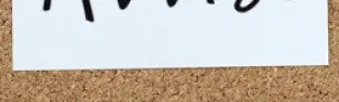 Descrizione immagine non disponibile