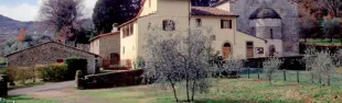 Descrizione immagine non disponibile