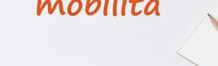 Descrizione immagine non disponibile