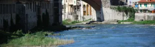 Descrizione immagine non disponibile