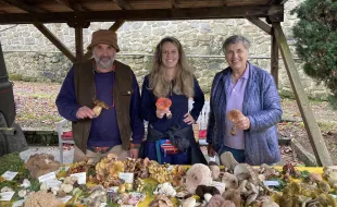 20 anni dell'associazione "Il Paese sulla Collina"