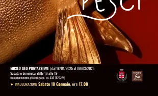Massimo Gigli, Nel magico mondo dei pesci. Pontassieve 18 gennaio - 9 marzo 2025