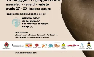 IO MI RIFIUTO Una mostra diffusa tra arte, ambiente e cittadinanza attiva. A Pontassieve e Pelago, dal 10 maggio all’8 giugno 2025