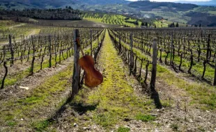 Jazz in Fattoria dal 4 luglio al 5 settembre 2025 in Valdisieve