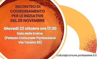 Incontro di Coordinamento per la Giornata internazionale per l'eliminazione della violenza contro le donne