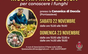 Mostra micologica. Doccia, Pontassieve 22 e 23 novembre 2025