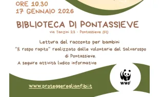 Il rospo rapito. Pontassieve, 17/01/226