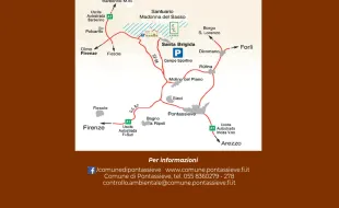 Festa del Cisto Laurino in fiore. Domenica 7 giugno 2026