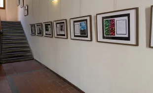Mostramela - Galleria