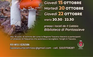 Corso conoscere i funghi. Pontassieve 15-22 ottobre 2026