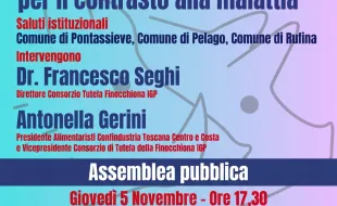 Peste suina africana. Pontassieve 5/11/2026