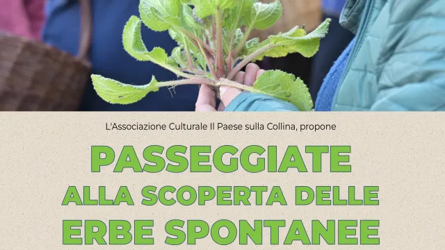 Passeggiate alla scoperta delle erbe spontanee: marzo-aprile 2024