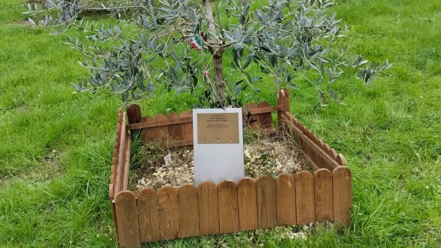 Giardino dei Peri, San Francesco, Comune di Pelago