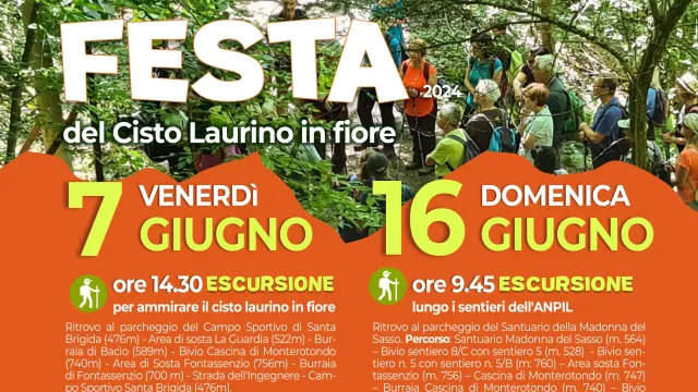 Festa del cisto laurino in fiore, venerdì 7 giugno e domenica 16 giugno 2024