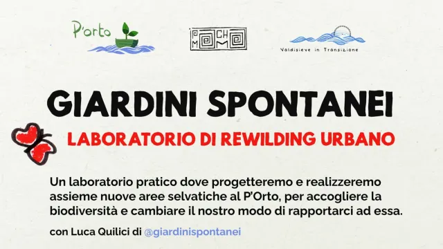 Giardini spontanei, laboratorio di Rewilding urbano. Pontassieve, domenica 9 giugno 2024