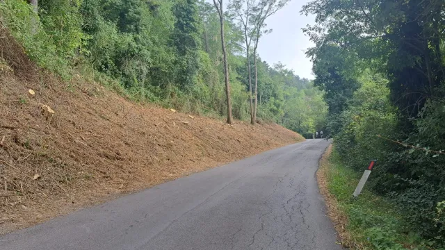 Via Bosconi dettaglio dei lavori