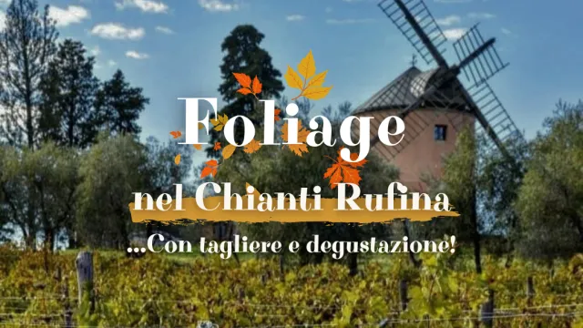 Il foliage a Lavacchio. L'autunno tra colori e vino nel Chianti Rufina. Pontassieve 26 ottobre 2024