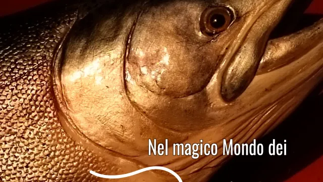 Massimo Gigli, Nel magico mondo dei pesci. Pontassieve 18 gennaio - 9 marzo 2025