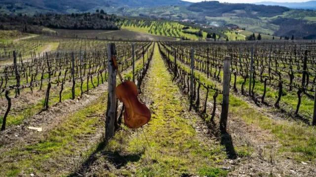 Jazz in Fattoria dal 4 luglio al 5 settembre 2025 in Valdisieve