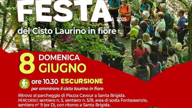Alla scoperta del Cisto Laurino. Domenica 8 giugno 2025