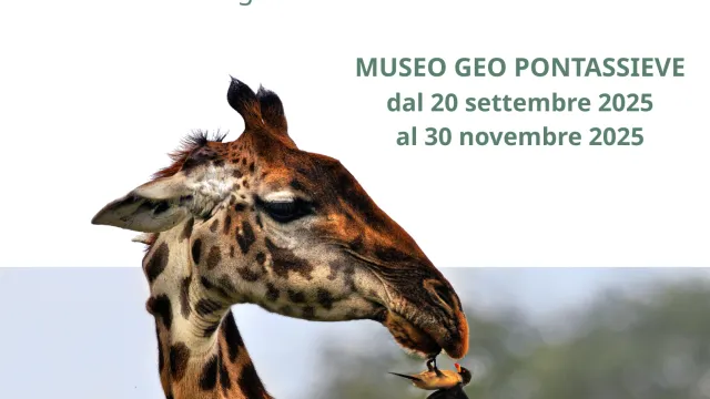 Locandina mostra "E fu sera e fu mattina"