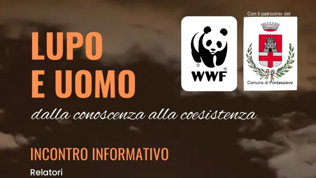 Lupo e uomo: dalla conoscenza alla coesistenza. Pontassieve 18/10/2025