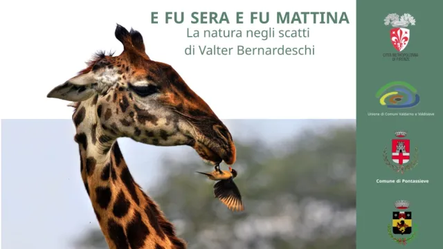 Programma incontri organizzati in collaborazione con la Sezione soci COOP Valdisieve