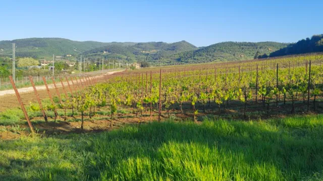 La sentieristica di Pontassieve: nuovi percorsi mappati online sulla piattaforma Wikiloc