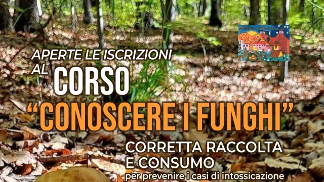 Corso gratuito “Conoscere i funghi”. Pontassieve 12, 15 e 19 gennaio 2026