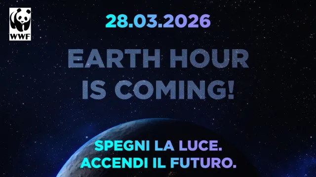 Earth hour 2026