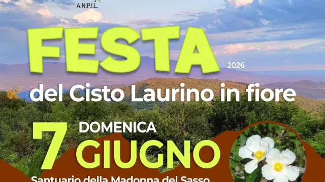 Festa del Cisto Laurino in fiore. Domenica 7 giugno 2026