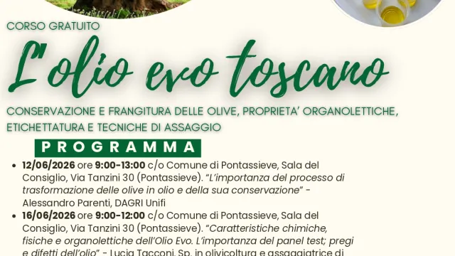 L'olio Evo Toscano