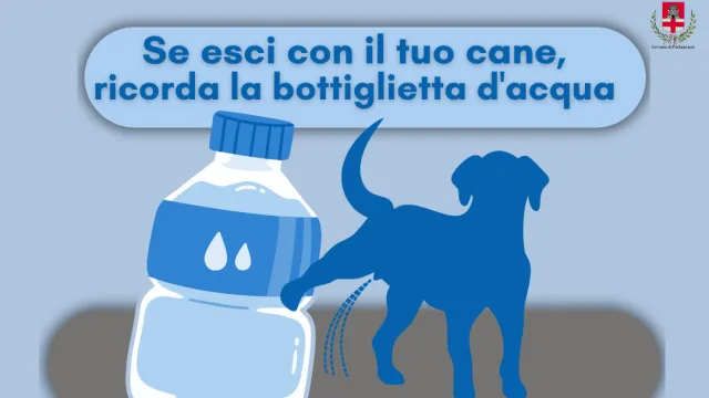 Nuove regole a Pontassieve per il decoro urbano e la pulizia