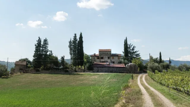Azienda agricola Podere il Balzo