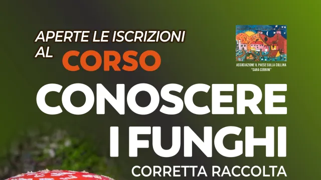 Corso conoscere i funghi. Pontassieve 15-22 ottobre 2026